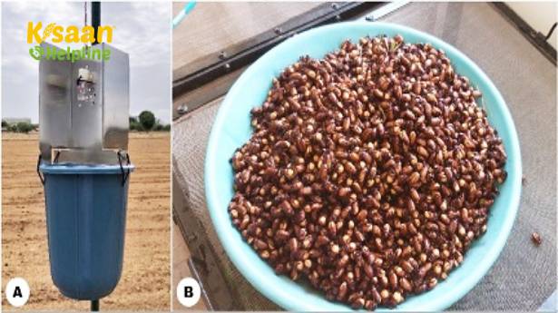 आईसीएआर-एनबीएआईआर, बेंगलुरु ने धीमी गति से रिलीज फेरोमोन योगों के साथ होलोट्रीचिया कंजुआंगिना (Holotrichia consanguinea) को सफलतापूर्वक नियंत्रित किया आईसीएआर-एनबीएआईआर, बेंगलुरु ने धीमी गति से रिलीज फेरोमोन योगों के साथ होलोट्रीचिया कंजुआंगिना (Holotrichia consanguinea) को सफलतापूर्वक नियंत्रित किया